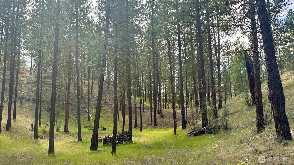 98 Larkspur Drive Winthrop, WA 98862
