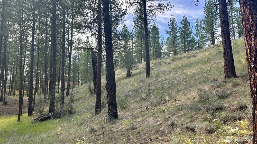 98 Larkspur Drive Winthrop, WA 98862