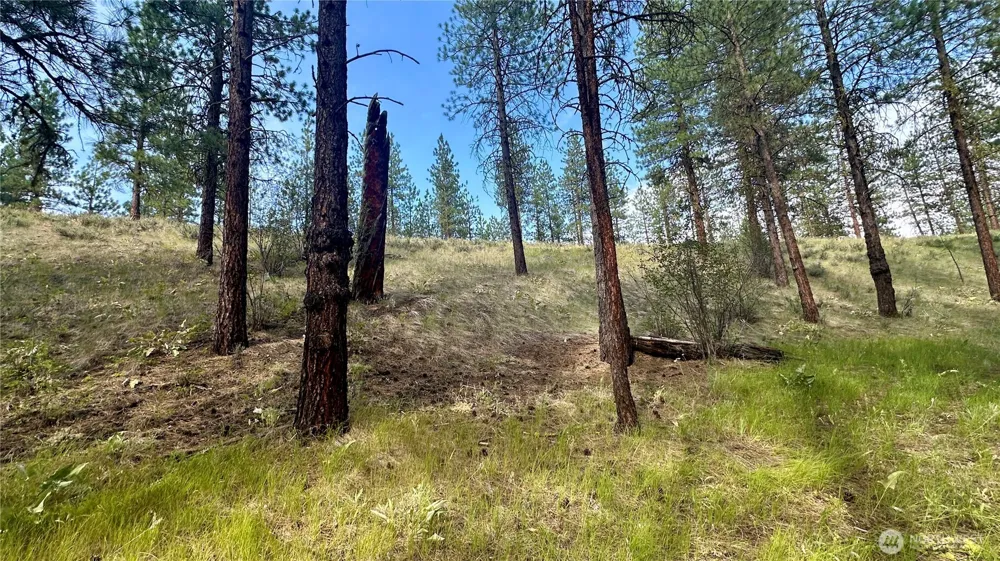 98 Larkspur Drive Winthrop, WA 98862