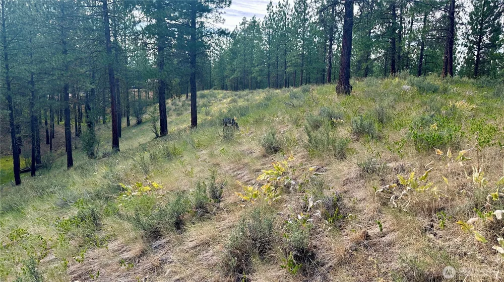 98 Larkspur Drive Winthrop, WA 98862