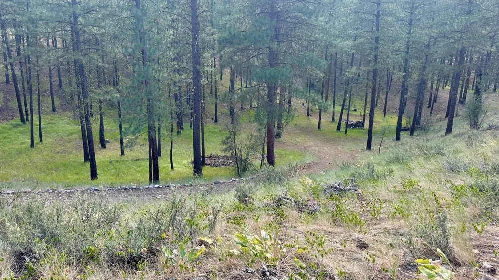 98 Larkspur Drive Winthrop, WA 98862