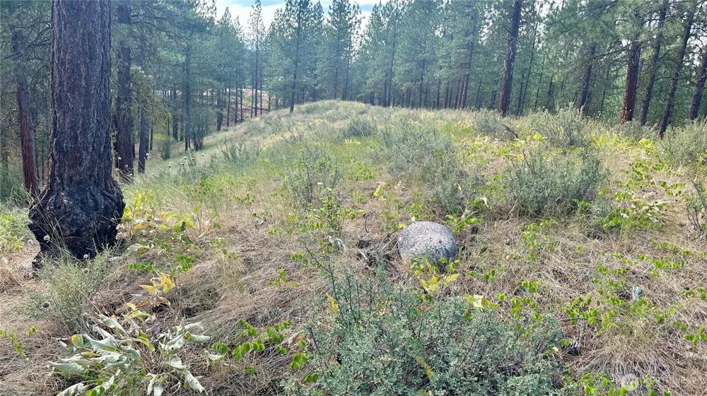 98 Larkspur Drive Winthrop, WA 98862