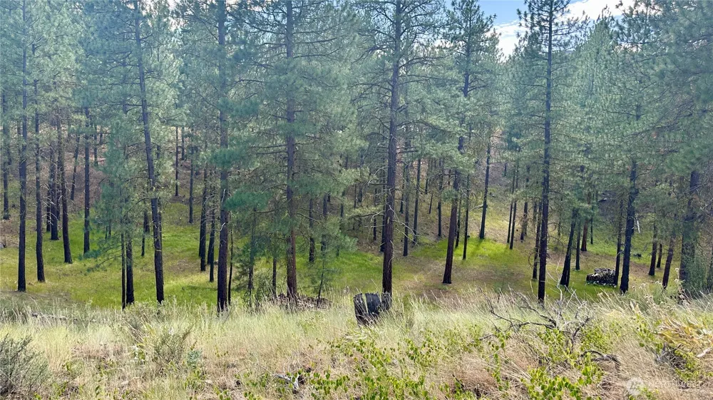 98 Larkspur Drive Winthrop, WA 98862
