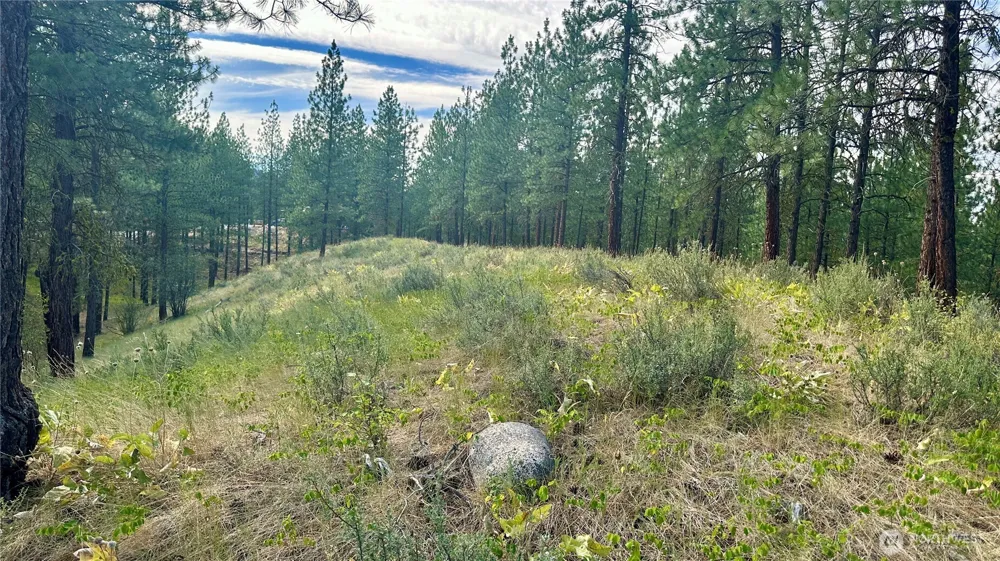 98 Larkspur Drive Winthrop, WA 98862