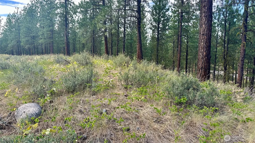 98 Larkspur Drive Winthrop, WA 98862
