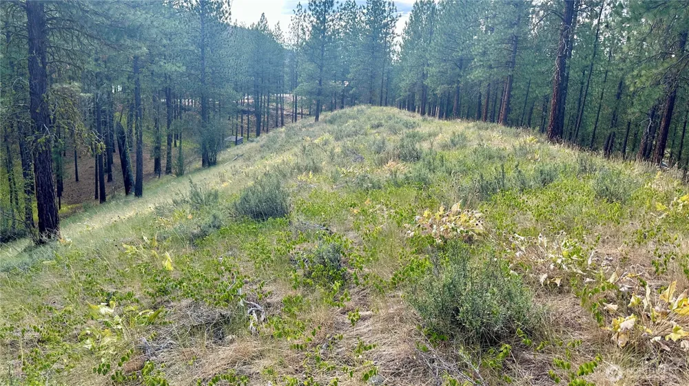 98 Larkspur Drive Winthrop, WA 98862