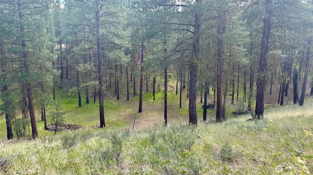 98 Larkspur Drive Winthrop, WA 98862