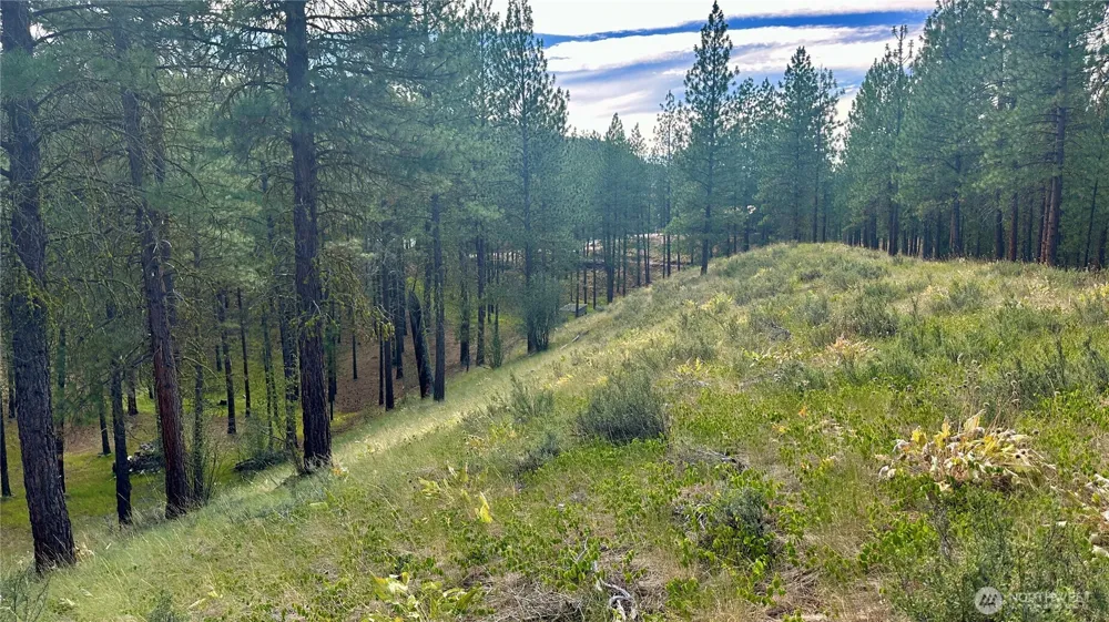 98 Larkspur Drive Winthrop, WA 98862