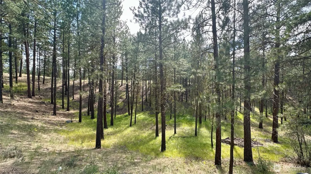 98 Larkspur Drive Winthrop, WA 98862