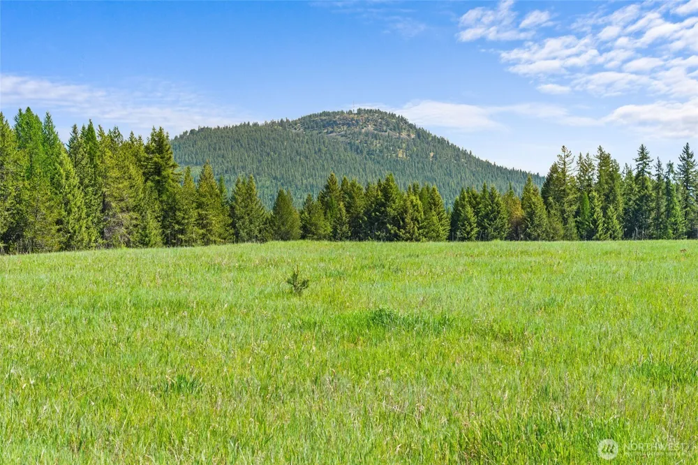 988 Orin Rice Road Colville, WA 99114