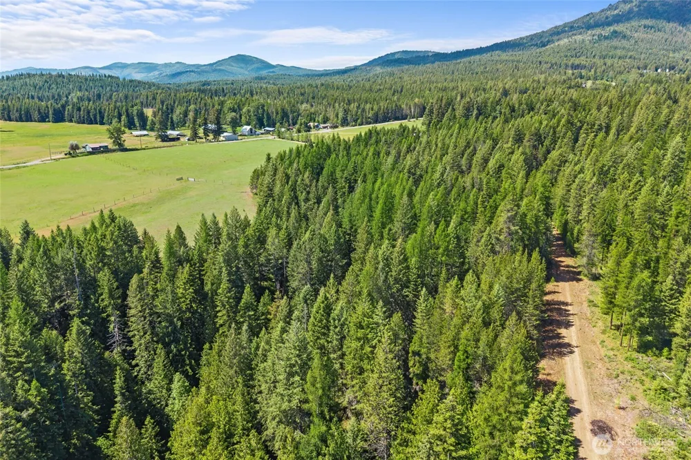 988 Orin Rice Road Colville, WA 99114