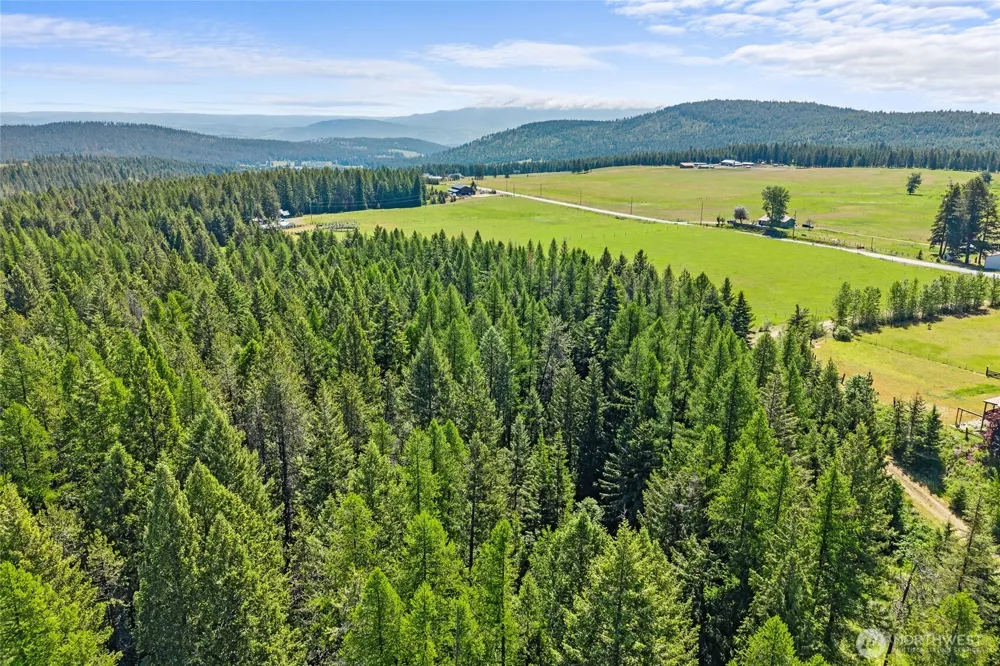 988 Orin Rice Road Colville, WA 99114