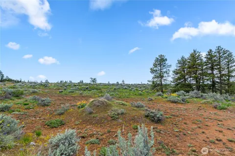 207 Falcon Ridge Road