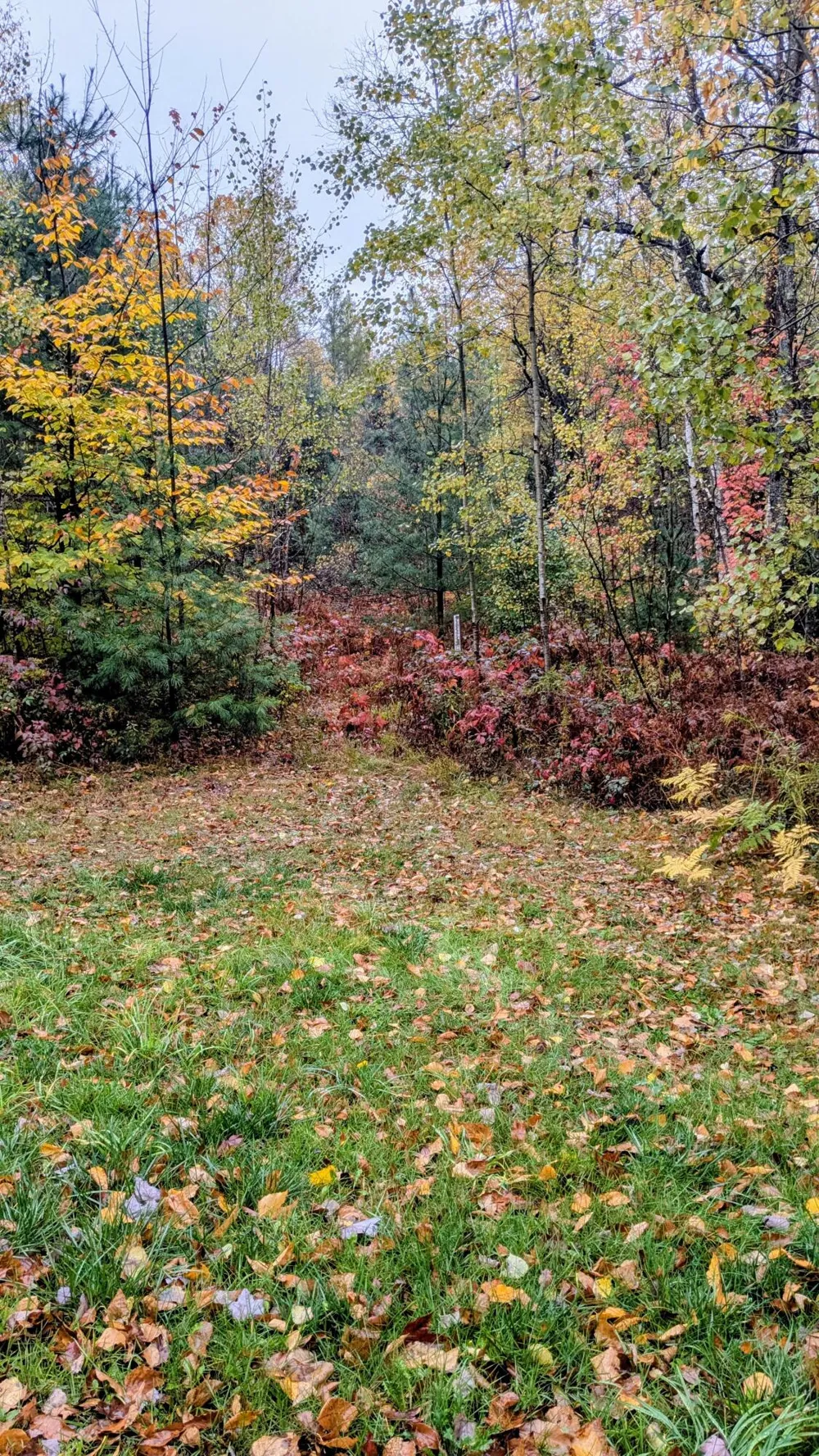 2256 Whitetail Drive Cherry Grove Township, MI 49601