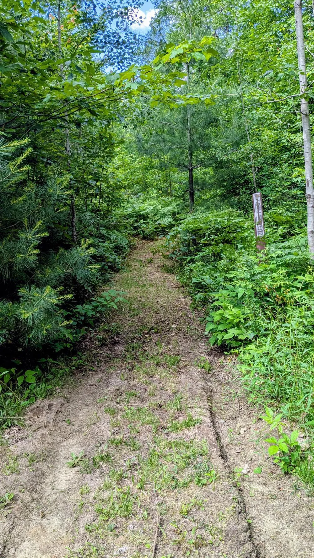 2256 Whitetail Drive Cherry Grove Township, MI 49601