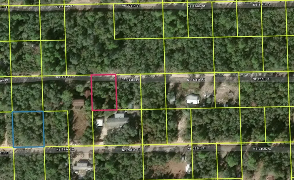 NE 235TH PL Fort Mc Coy, FL 32134