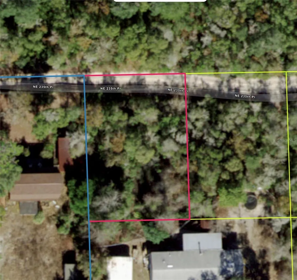 NE 235TH PL Fort Mc Coy, FL 32134