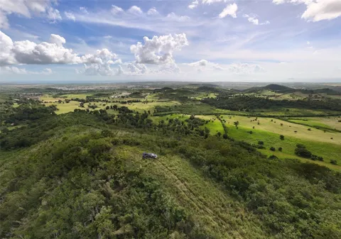 2565 PR545