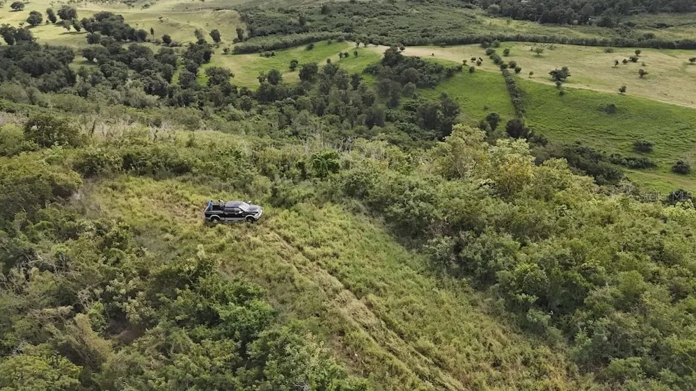 2565 PR545 Coamo, PR 00769