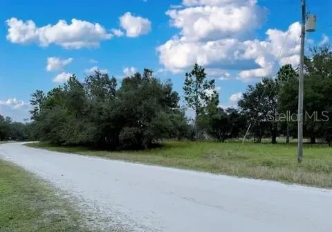 116 OSCEOLA ROAD Georgetown, FL 32139