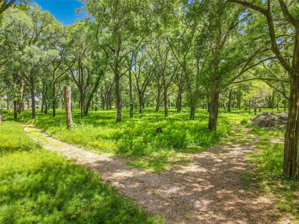 164 DENVER ROAD Crescent City, FL 32112
