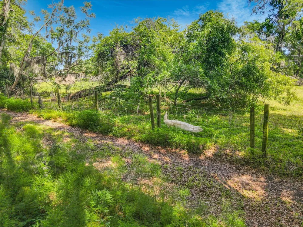 164 DENVER ROAD Crescent City, FL 32112