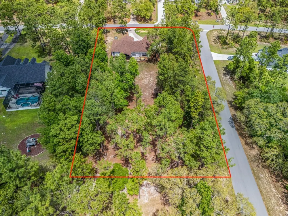 2187 COUNTY ROAD 243C Wildwood, FL 34785