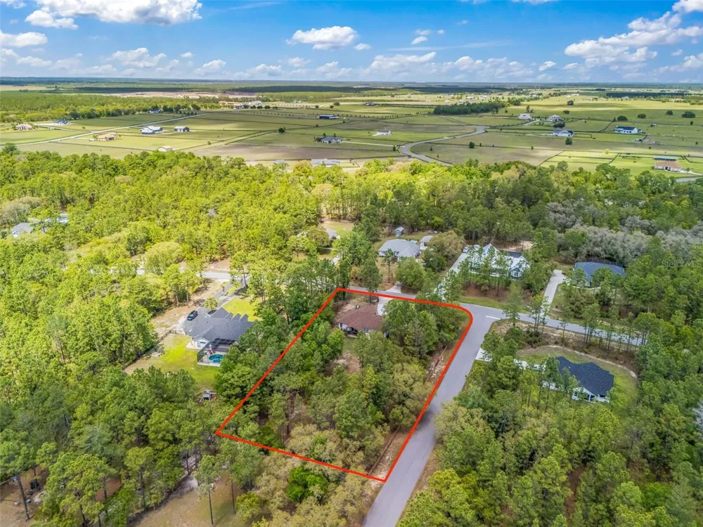 2187 COUNTY ROAD 243C Wildwood, FL 34785