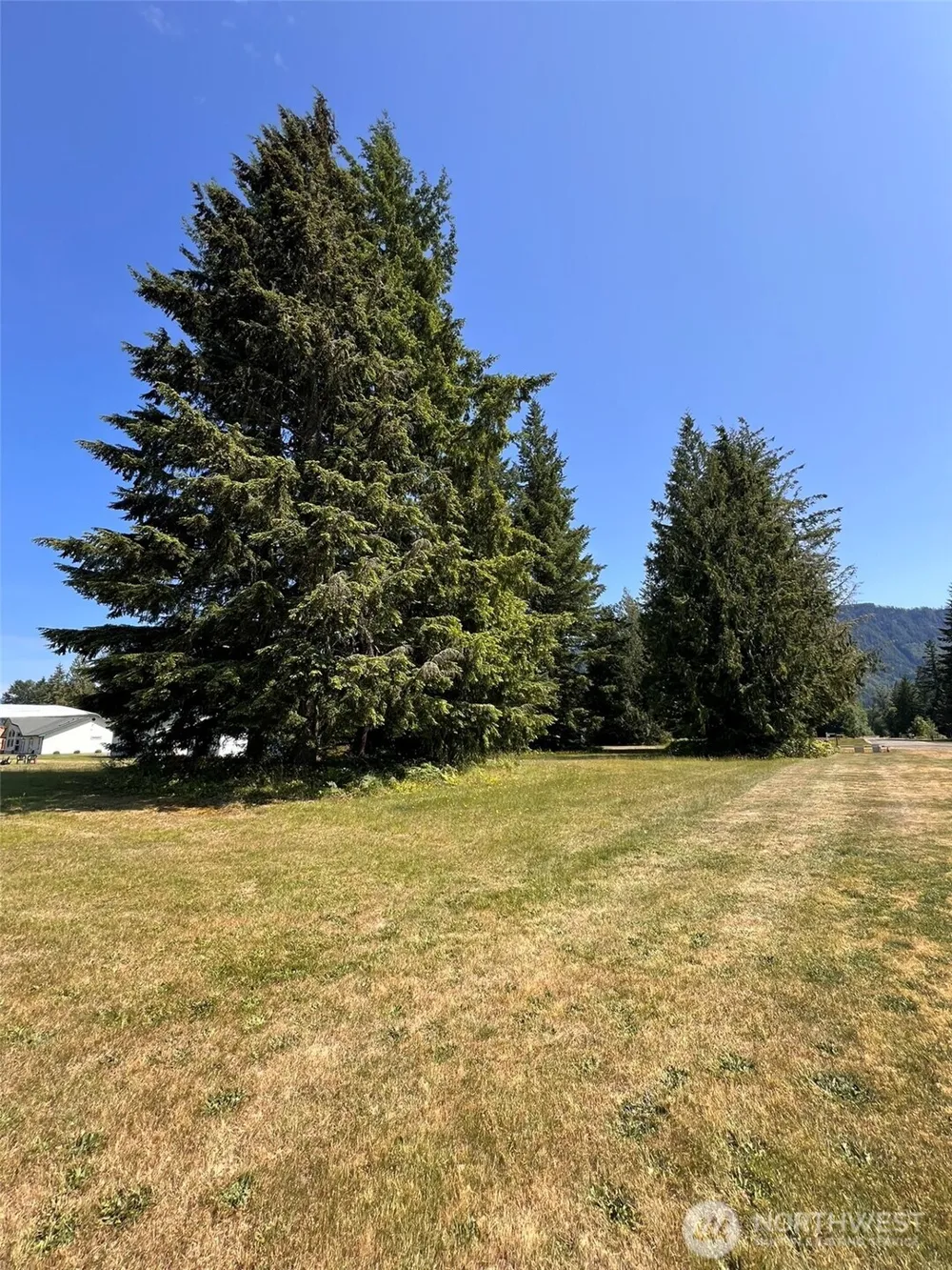 0 Shelton Road Randle, WA 98377