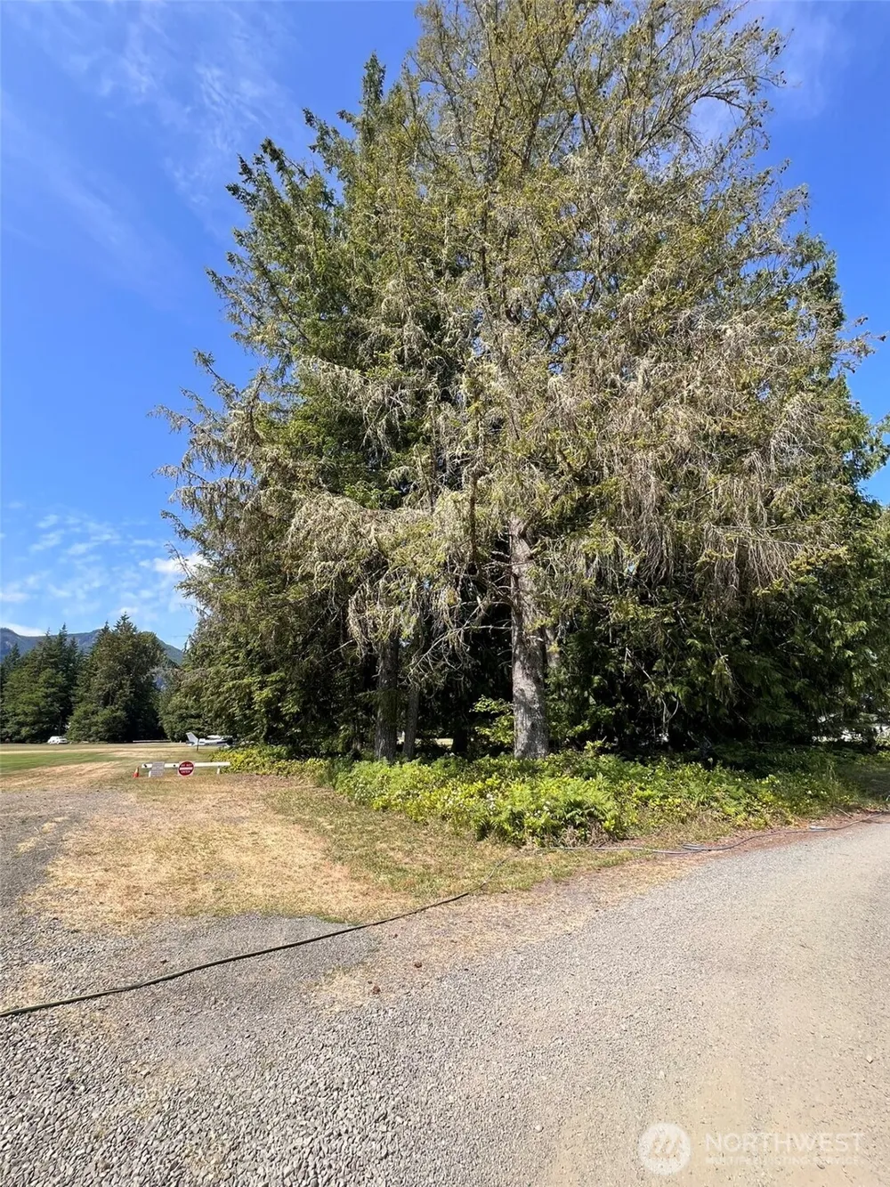 0 Shelton Road Randle, WA 98377