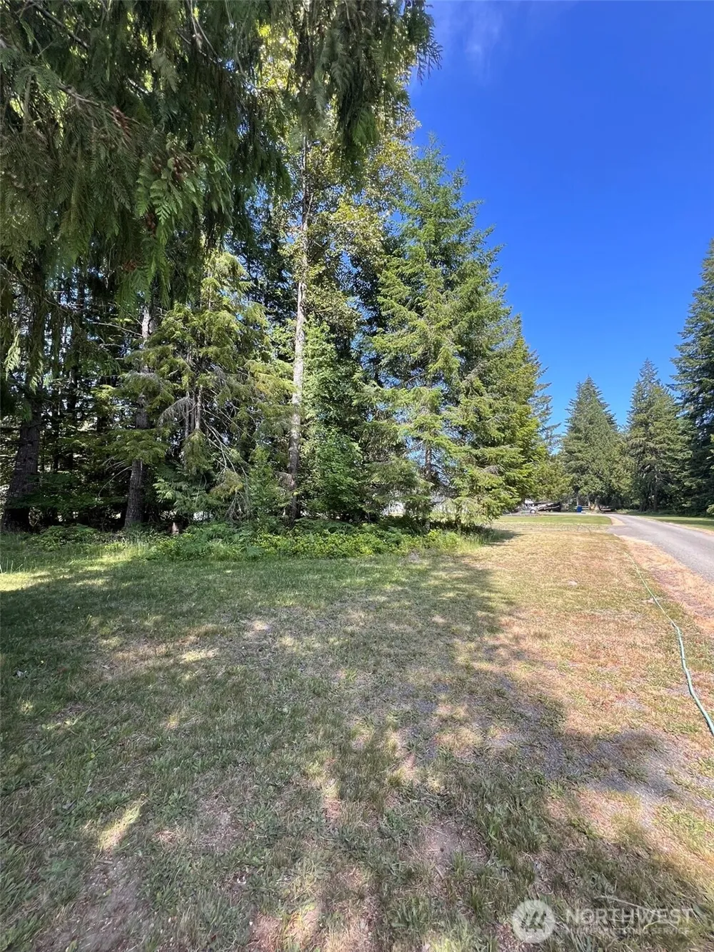 0 Shelton Road Randle, WA 98377