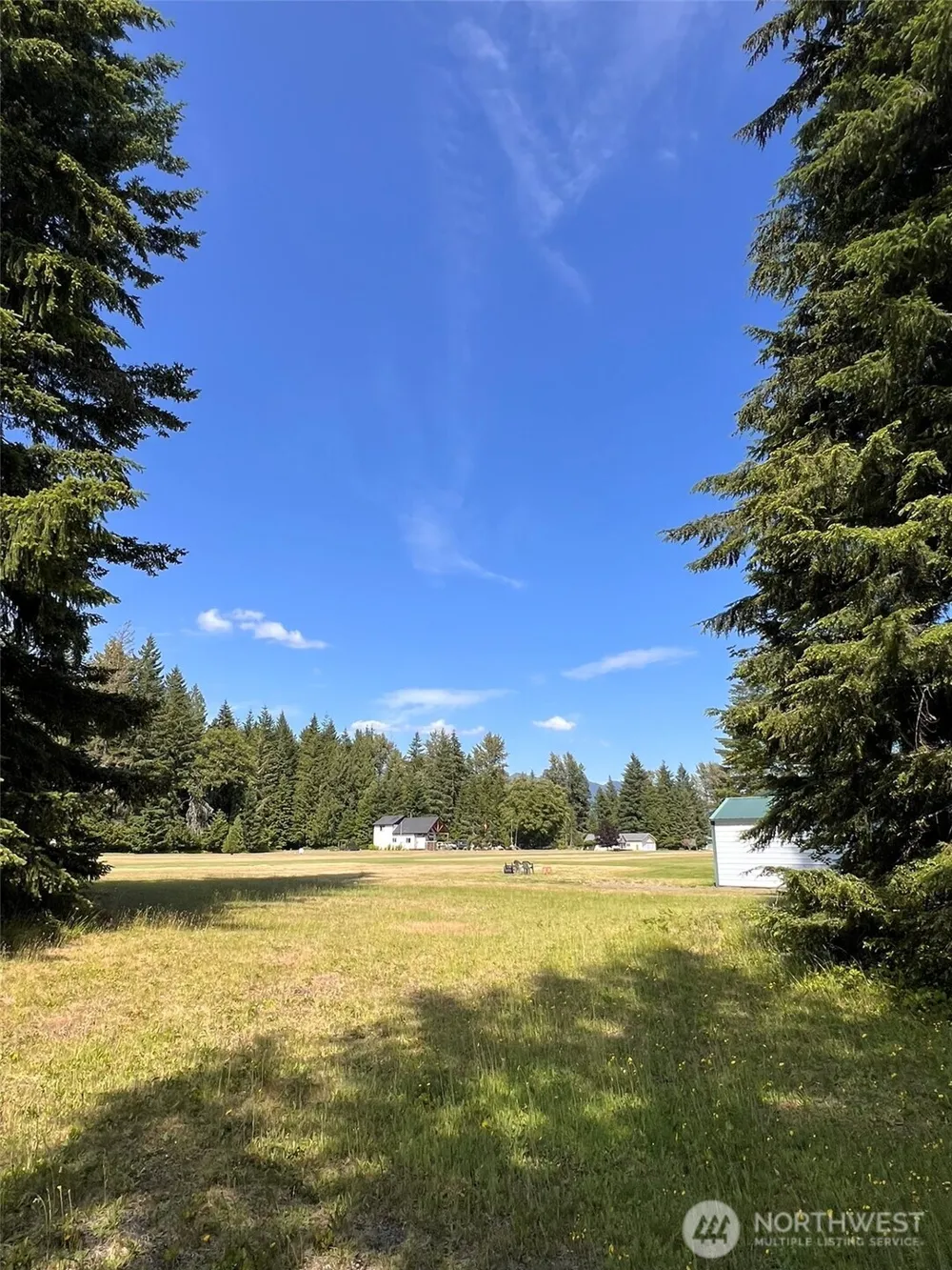 0 Shelton Road Randle, WA 98377