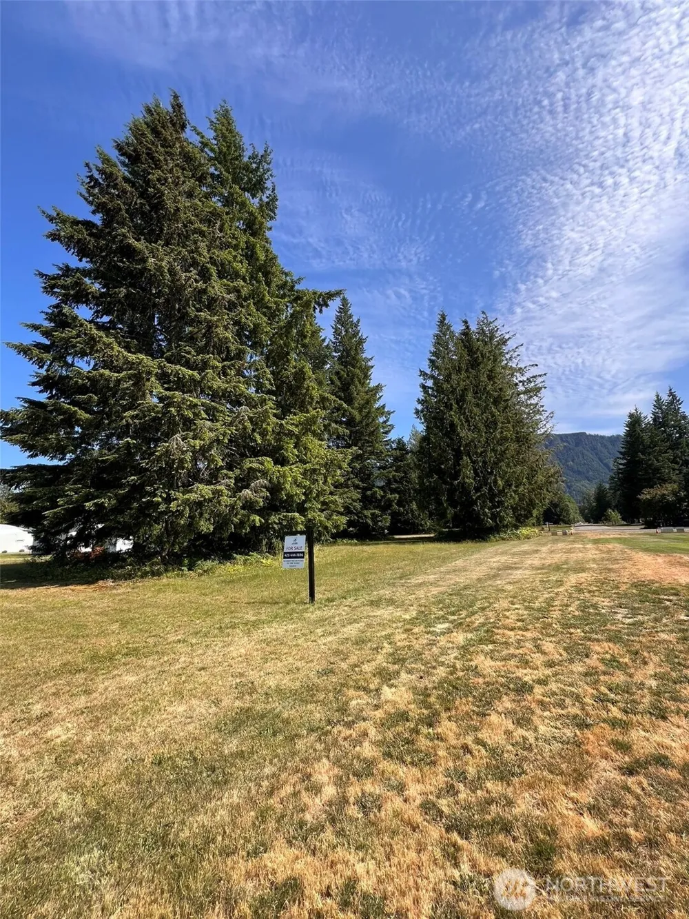 0 Shelton Road Randle, WA 98377