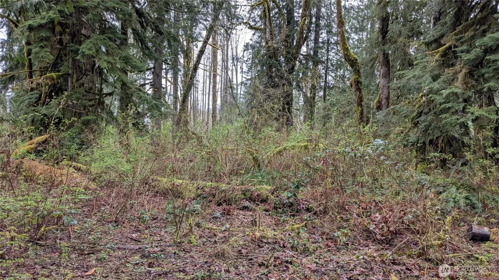 63602 190th Street NE Baring, WA 98224