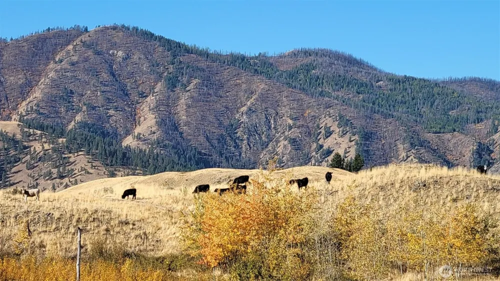 0 Harrier Lane Tonasket, WA 98855
