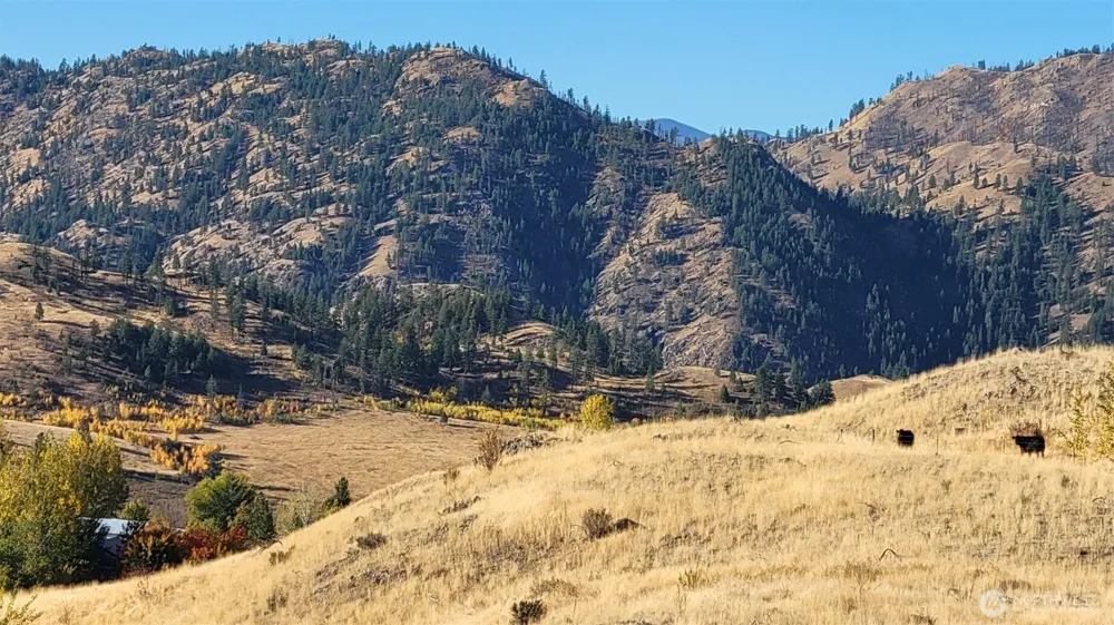 0 Harrier Lane Tonasket, WA 98855