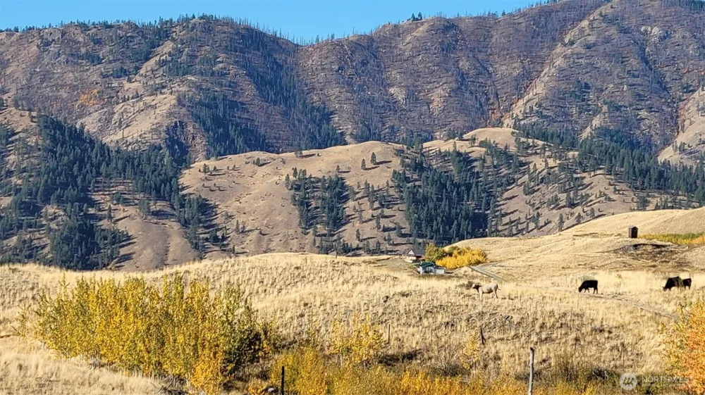 0 Harrier Lane Tonasket, WA 98855