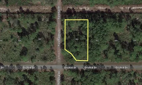 824 ORCHID DRIVE