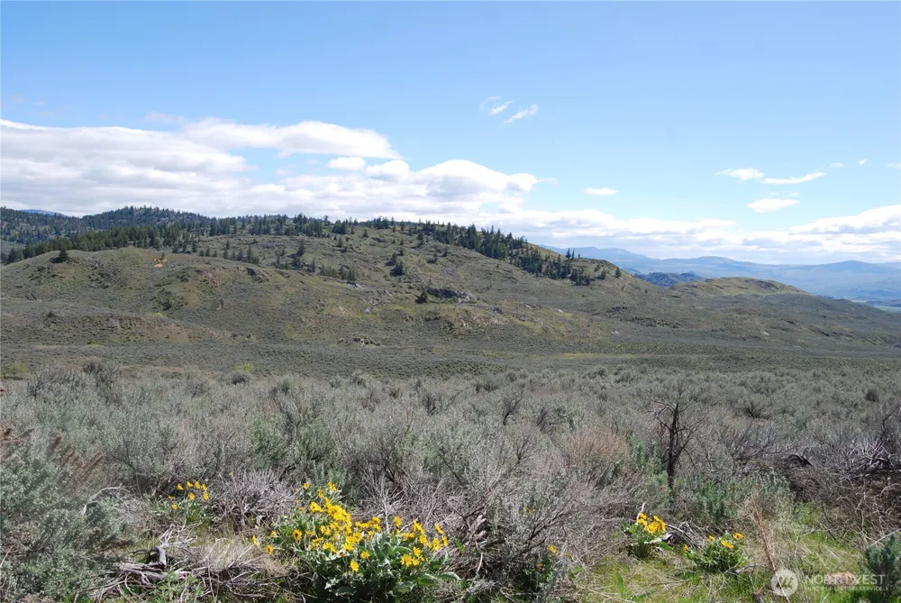 0 Lower White Road Tonasket, WA 98855