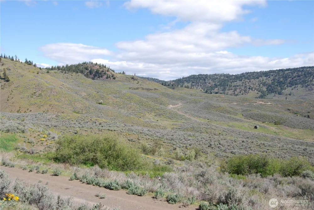 0 Lower White Road Tonasket, WA 98855