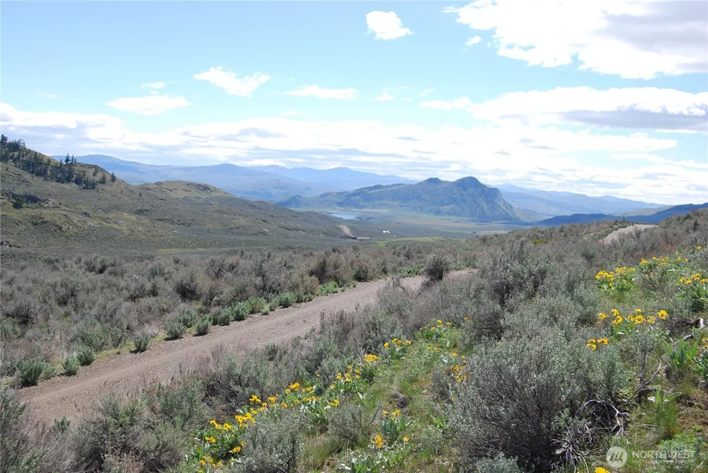0 Lower White Road Tonasket, WA 98855