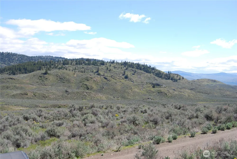 0 Lower White Road Tonasket, WA 98855