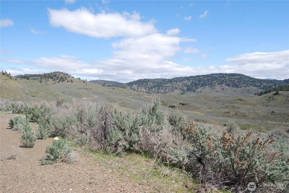 0 Lower White Road Tonasket, WA 98855