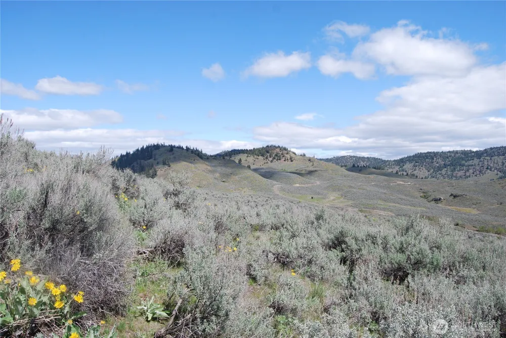 0 Lower White Road Tonasket, WA 98855