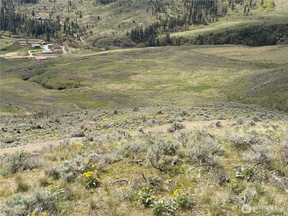 0 Lot 4 Aspen Springs Tonasket, WA 98855