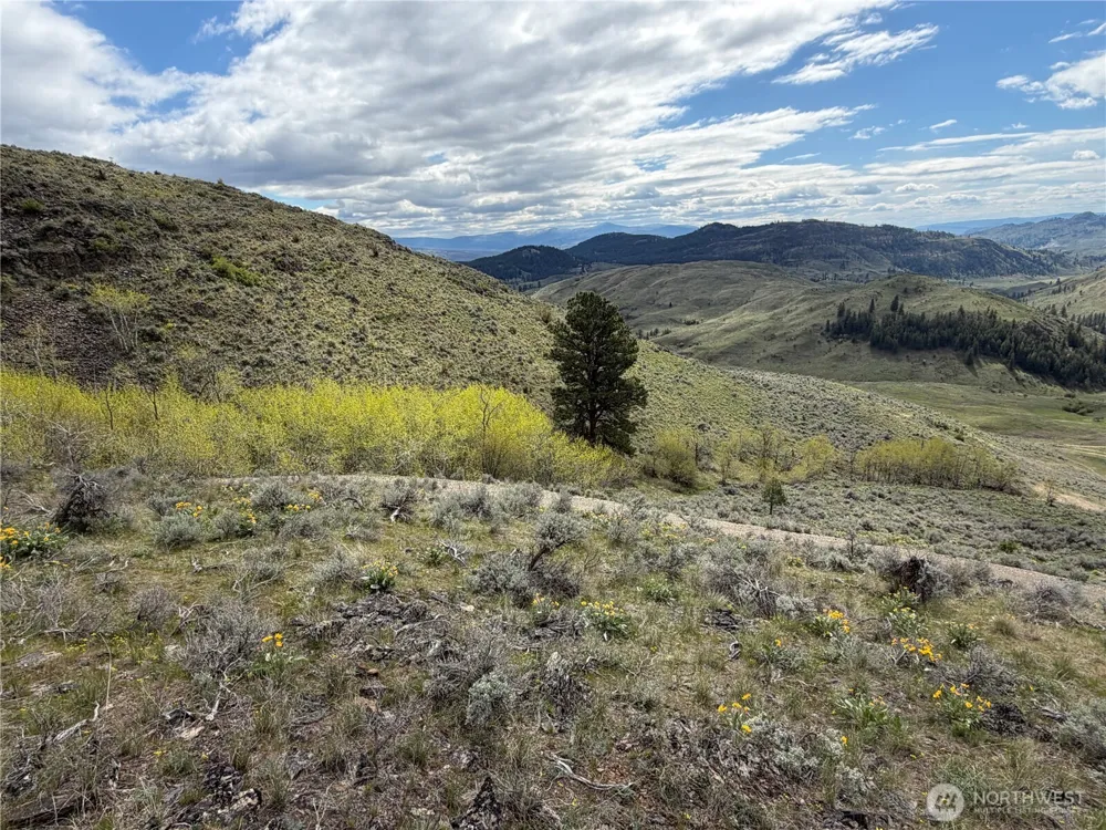 0 Lot 4 Aspen Springs Tonasket, WA 98855
