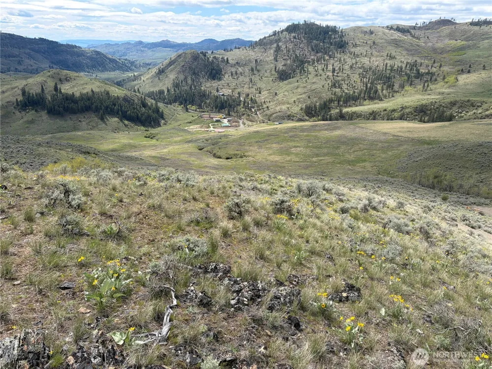 0 Lot 4 Aspen Springs Tonasket, WA 98855