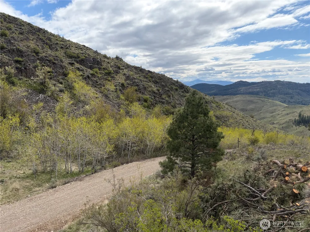 0 Lot 4 Aspen Springs Tonasket, WA 98855