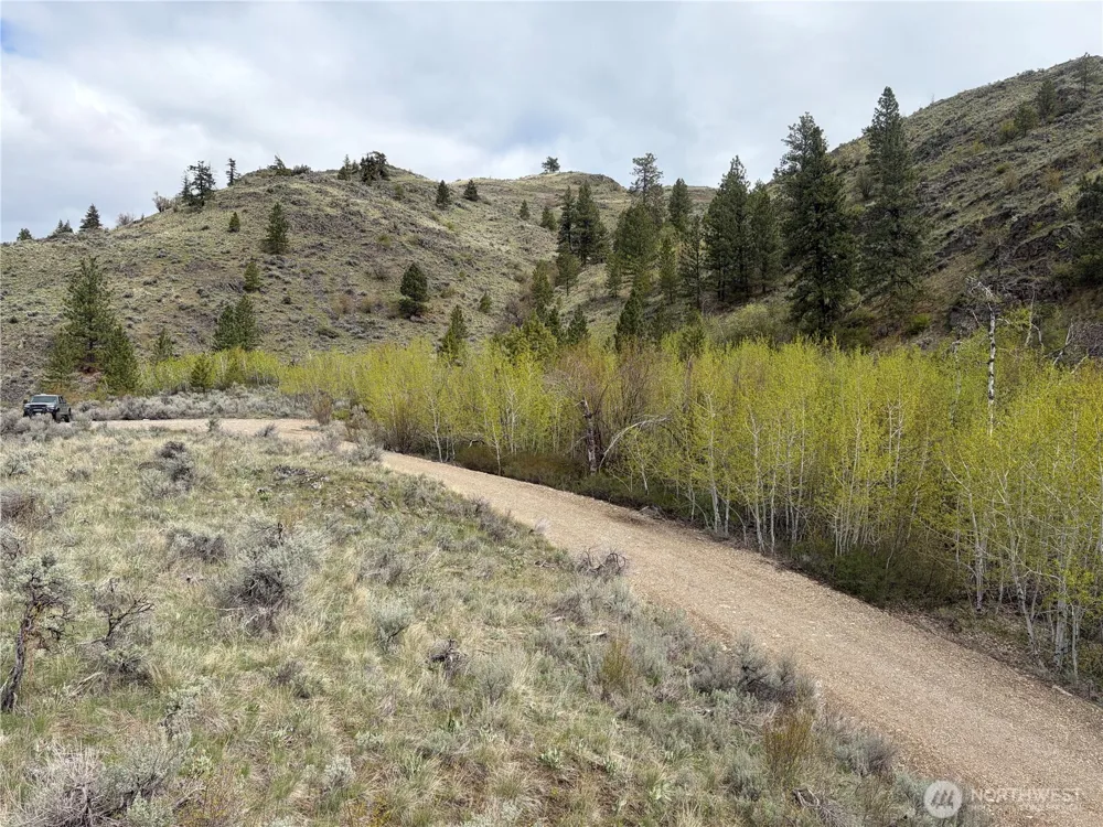 0 Lot 4 Aspen Springs Tonasket, WA 98855