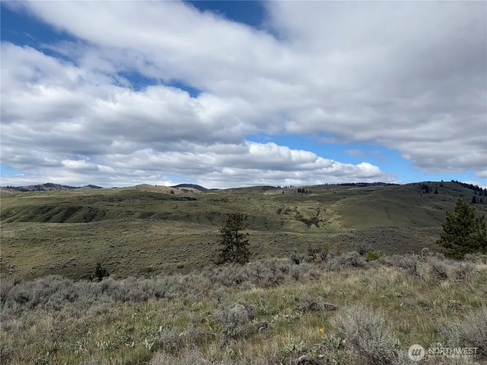 0 Lot 4 Aspen Springs Tonasket, WA 98855